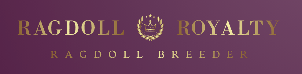 Ragdoll Royalty